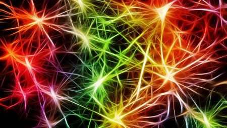 Neuroplasticité et Méditation : Etre architecte de son cerveau